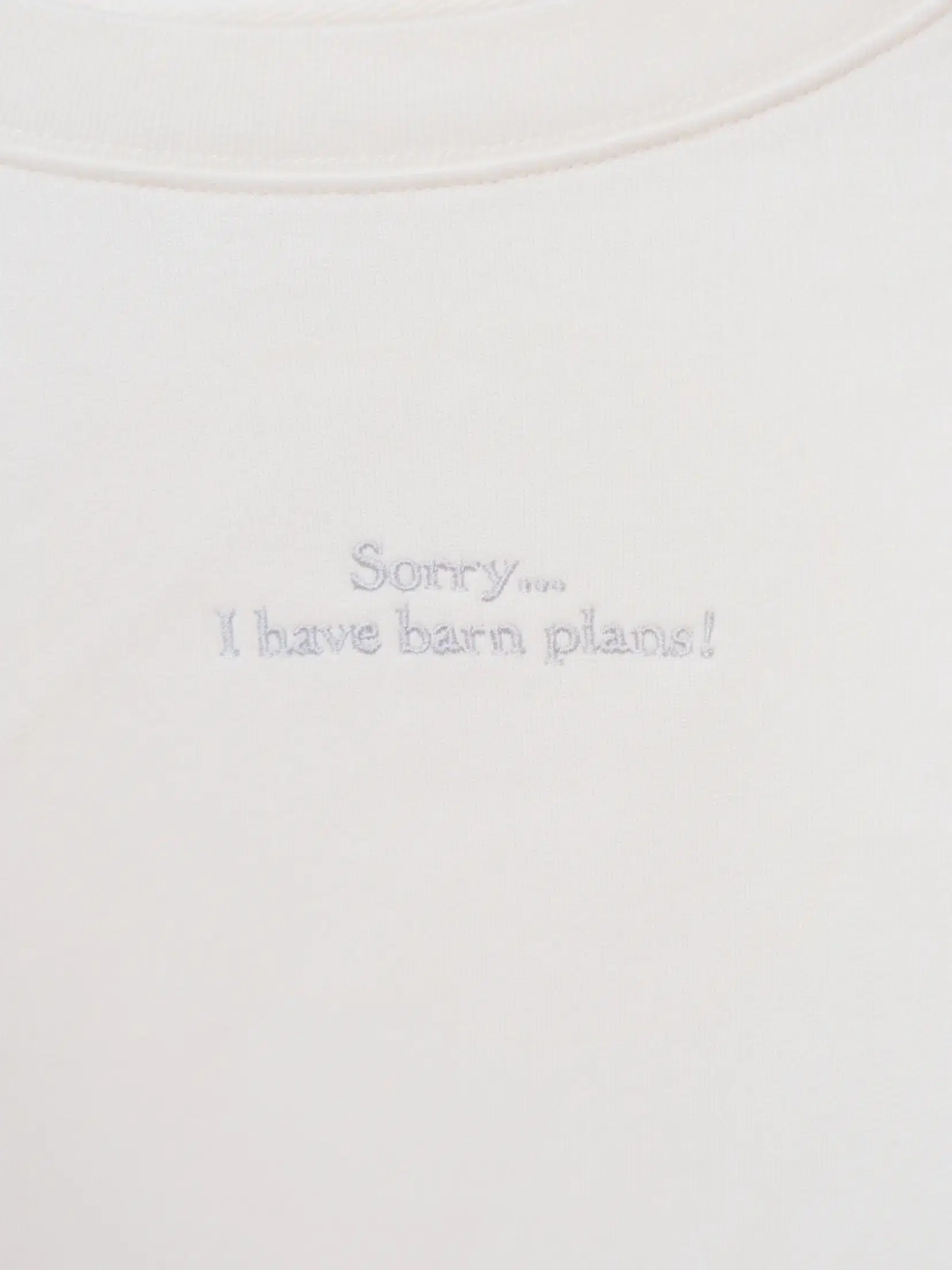 Bluza "I have barn plans" - obrazek 1